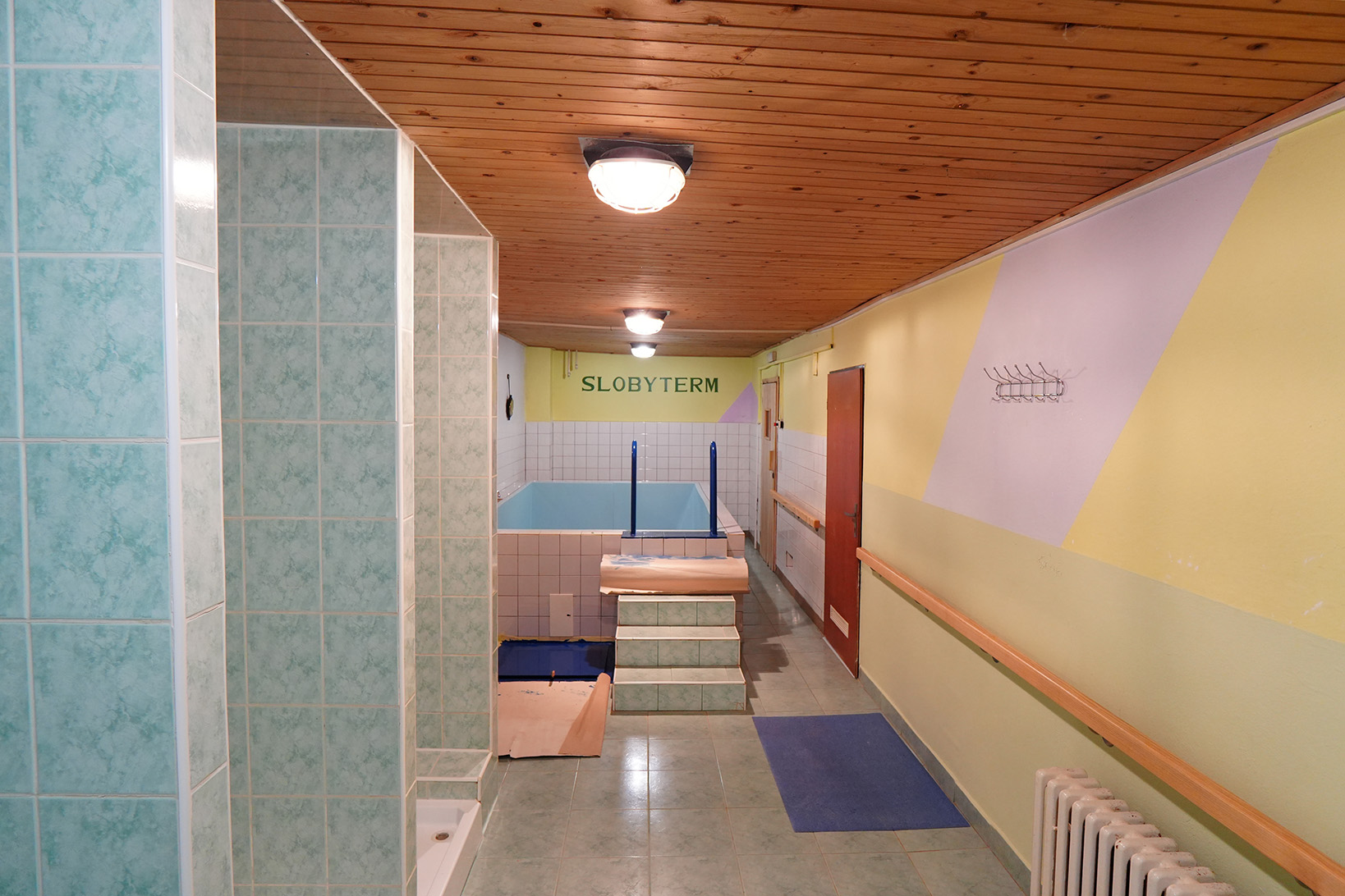 Wellness 1